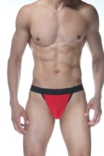 Deluxerie Panske Tanga Chintan 3