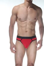 Deluxerie Panske Tanga Davien 4