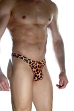 Deluxerie Panske Tanga Deacon 4